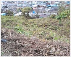  2023Ÿ��7320 �泲 ���ؽ� ������ ������ 224-1      ����(��1)���