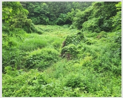  2023Ÿ��2885  ����