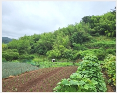  2023Ÿ��2885  ����