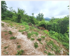  2023Ÿ��2885  ����