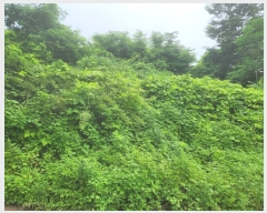  2023Ÿ��2885  ����