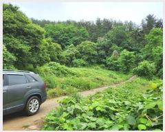  2023Ÿ��2885  ����