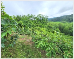  2023Ÿ��2885  ����