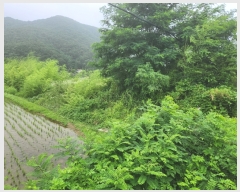  2023Ÿ��2885  ����