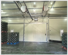  2023Ÿ��4454  â�����