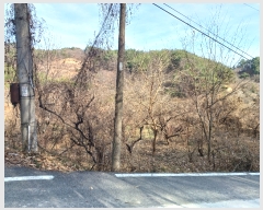  2023Ÿ��6221  ����