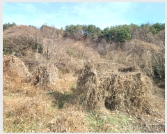  2023Ÿ��6221  ����