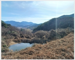  2023Ÿ��6221  ����