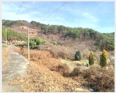  2023Ÿ��6221  ����