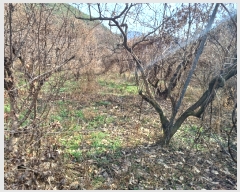  2023Ÿ��6221  ����