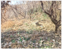  2023Ÿ��6221  ����