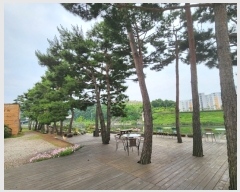  2023Ÿ��33674 �泲 ��û�� �ݼ��� ���̸� 165-12      �ٸ��ü�,�󰡰��