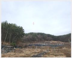  2023Ÿ39481 泲 ر  ȭ 1084      ()