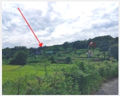  2023Ÿ��4515 �泲 ��õ�� �ൿ�� ���긮 ��6      ����(�Ӿ�)���