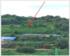  2023Ÿ��4515 �泲 ��õ�� �ൿ�� ���긮 ��6      ����(�Ӿ�)���