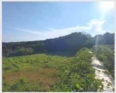  2023Ÿ��4515 �泲 ��õ�� �ൿ�� ���긮 ��6      ����(�Ӿ�)���