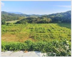  2023Ÿ��4515 �泲 ��õ�� �ൿ�� ���긮 ��6      ����(�Ӿ�)���