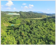  2023Ÿ��4515 �泲 ��õ�� �ൿ�� ���긮 ��6      ����(�Ӿ�)���