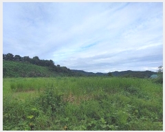  2023Ÿ��4515 �泲 ��õ�� �ൿ�� ���긮 ��6      ����(�Ӿ�)���