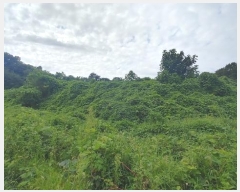  2023Ÿ��4515 �泲 ��õ�� �ൿ�� ���긮 ��6      ����(�Ӿ�)���