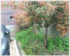  2023Ÿ��32374 �泲 ���ֽ� ������ 469 (�žȵ�,��º���)      �ܵ�����,�����ð��