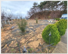  2023Ÿ��33896 �泲 ���ر� ��õ�� ����� 100      ����(��)���