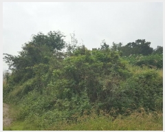  2023Ÿ��36338  ����