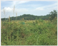  2023Ÿ��36338  ����