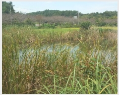  2023Ÿ��36338  ����