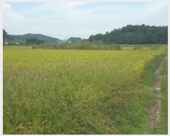  2023Ÿ��36338  ����