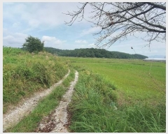  2023Ÿ��36338  ����