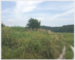  2023Ÿ��36338  ����