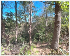  2023Ÿ��37171 �泲 ��û�� �ܼ��� ��� 940-7      ����(������)���