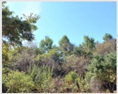  2023Ÿ��37171 �泲 ��û�� �ܼ��� ��� 940-7      ����(������)���