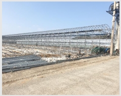  2023Ÿ��407 �泲 ���ֽ� ���� ��� 1366      ����(��)���