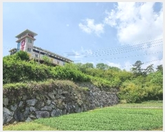  2023Ÿ1974 泲 õ   164-9      ڽü,,ȣ,