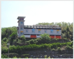  2023Ÿ1974 泲 õ   164-9      ڽü,,ȣ,