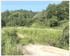  2023Ÿ��2311  �Ӿ߰��