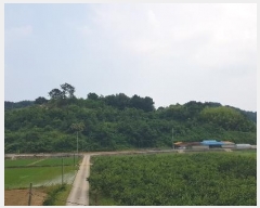  2023Ÿ2908 泲 õ   874-5      ()