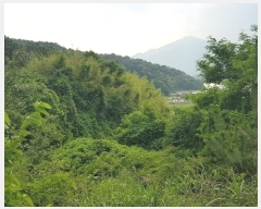  2023Ÿ2908 泲 õ   874-5      ()