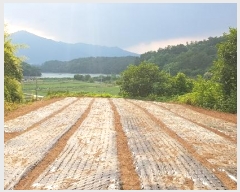  2023Ÿ2908 泲 õ   874-5      ()