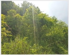  2023Ÿ2908 泲 õ   874-5      ()