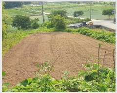  2023Ÿ2908 泲 õ   874-5      ()