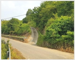  2023Ÿ2908 泲 õ   874-5      ()