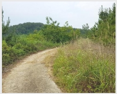  2023Ÿ2908 泲 õ   874-5      ()