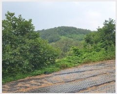  2023Ÿ2908 泲 õ   874-5      ()