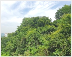  2023Ÿ��3260 �泲 ���ֽ� ������ �� 670-1      ���ð��