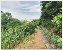  2023Ÿ��3260 �泲 ���ֽ� ������ �� 670-1      ���ð��