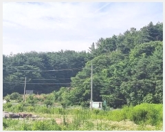  2023Ÿ3437 泲 û ܼ 縮 30-31      (Ӿ)