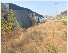  2023Ÿ��6030 �泲 ���ر� �̵��� ������ 652      ����(��)���